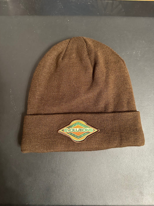 Evolutions Beanie