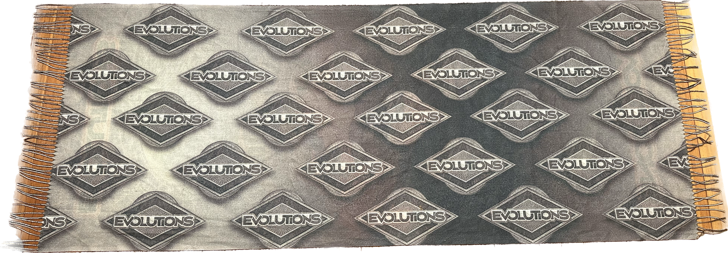 Evolutions Winter Pashmina 2